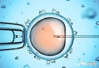 代怀选性别包生男孩